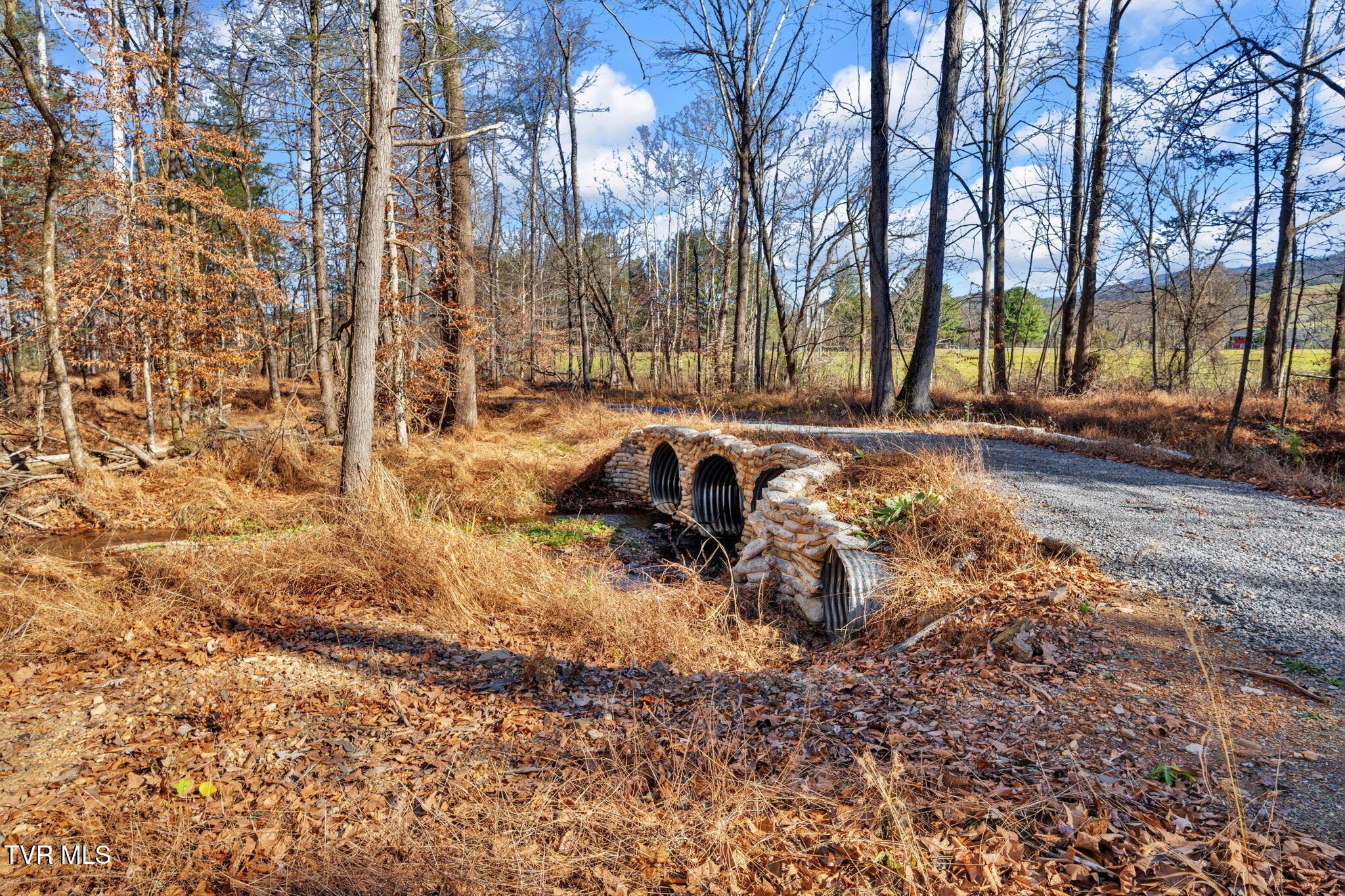 Tbd Tbd Mcinturff Springs Road Erwin, TN 37650 - Photo 5 of 22 18-web-or-mls-460 McInturff Rd-5 (2)