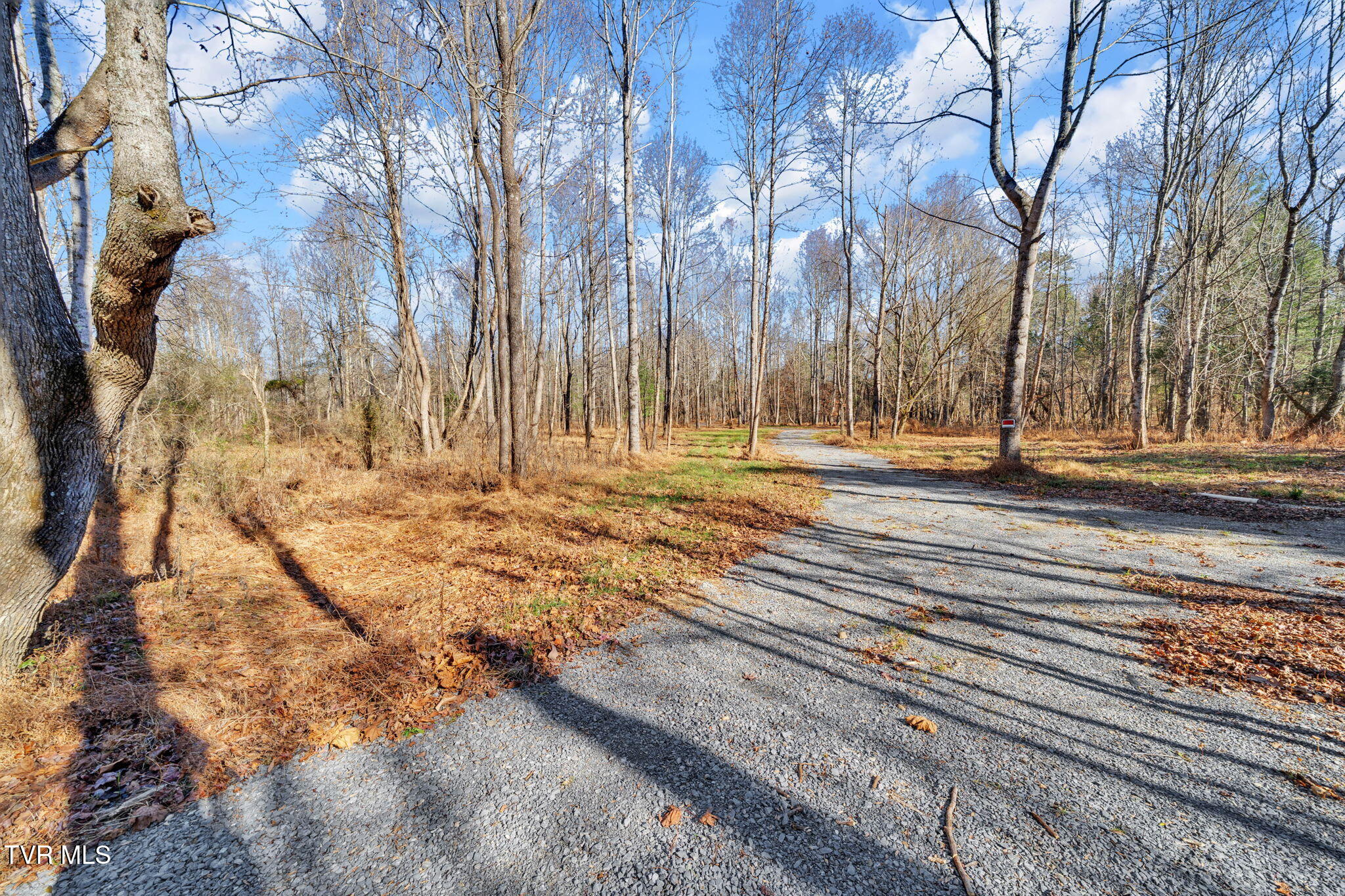 Tbd Tbd Mcinturff Springs Road Erwin, TN 37650 - Photo 6 of 22 14-web-or-mls-460 McInturff Rd-1 (2)