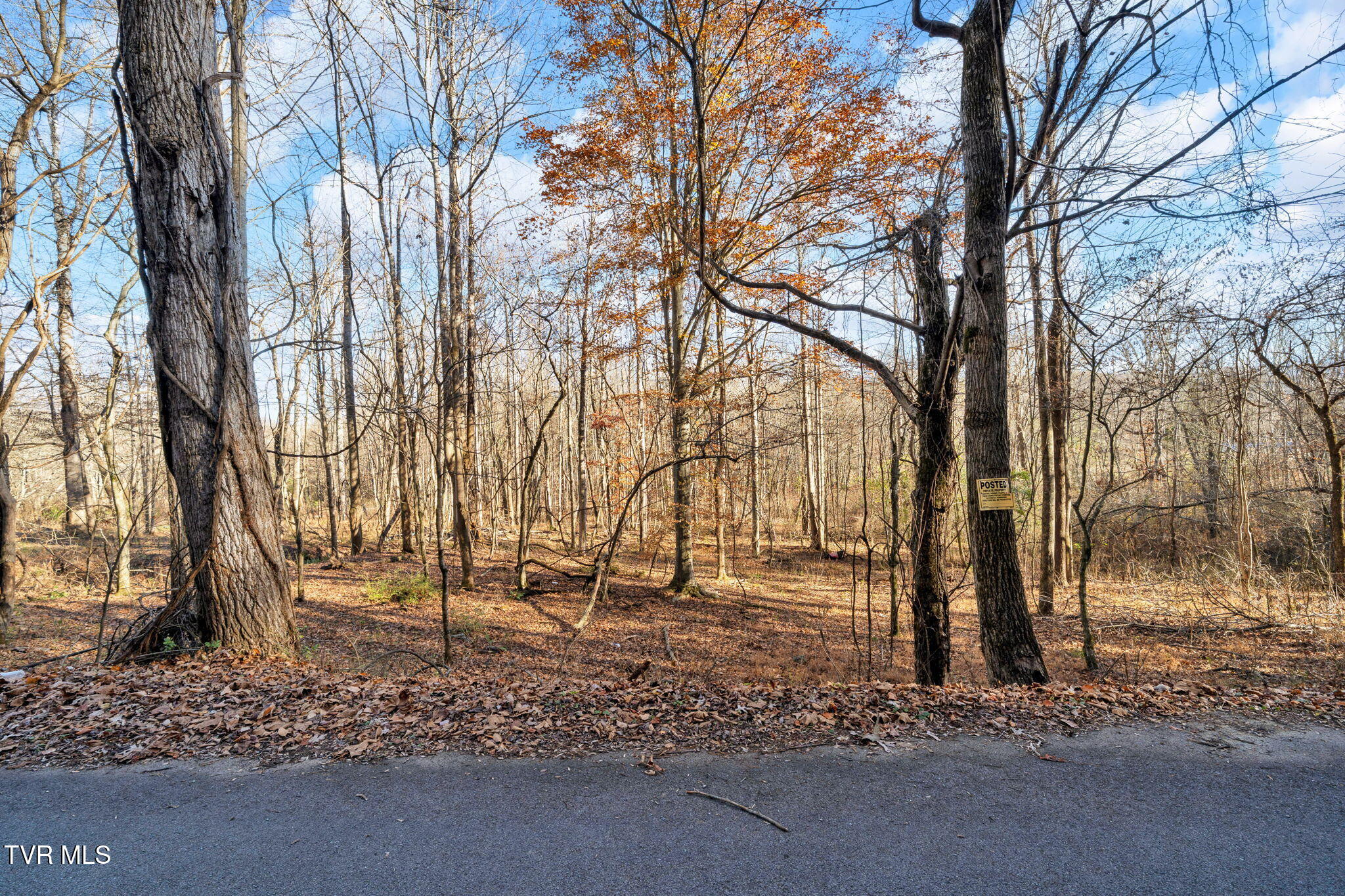 Tbd Tbd Mcinturff Springs Road Erwin, TN 37650 - Photo 7 of 22 12-web-or-mls-460 McInturff Rd-15