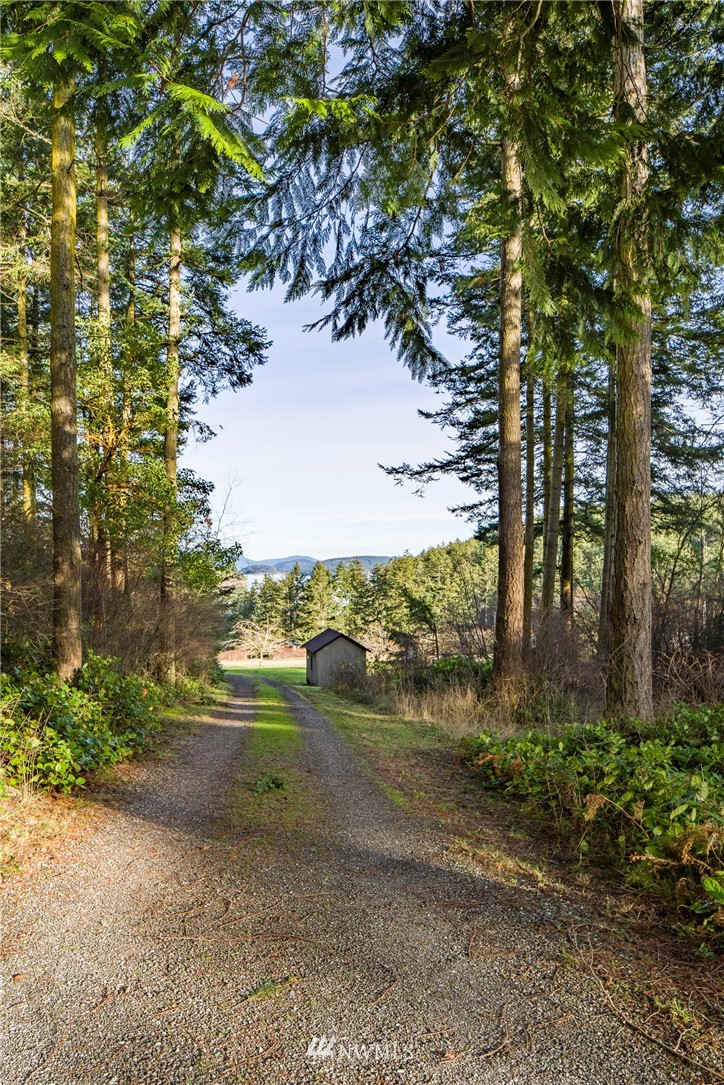 3738 Mud Bay Road Lopez Island, WA 98261 - Photo 3 of 24 Gallery Image 3