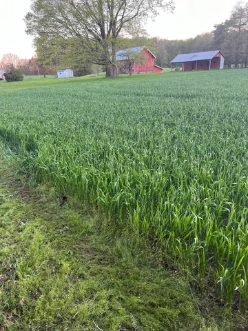 $480,000 | 5321 South 36th Avenue, New Era, MI 49446