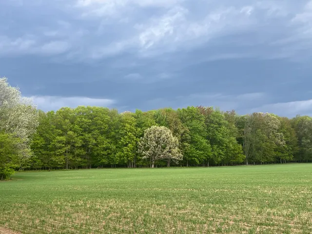 $480,000 | 5321 South 36th Avenue, New Era, MI 49446