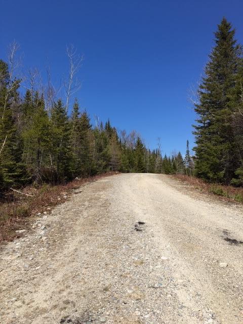 Lot #17 Grace Pond Road West Forks, ME 04985 - Photo 3 of 3 IMG_0364