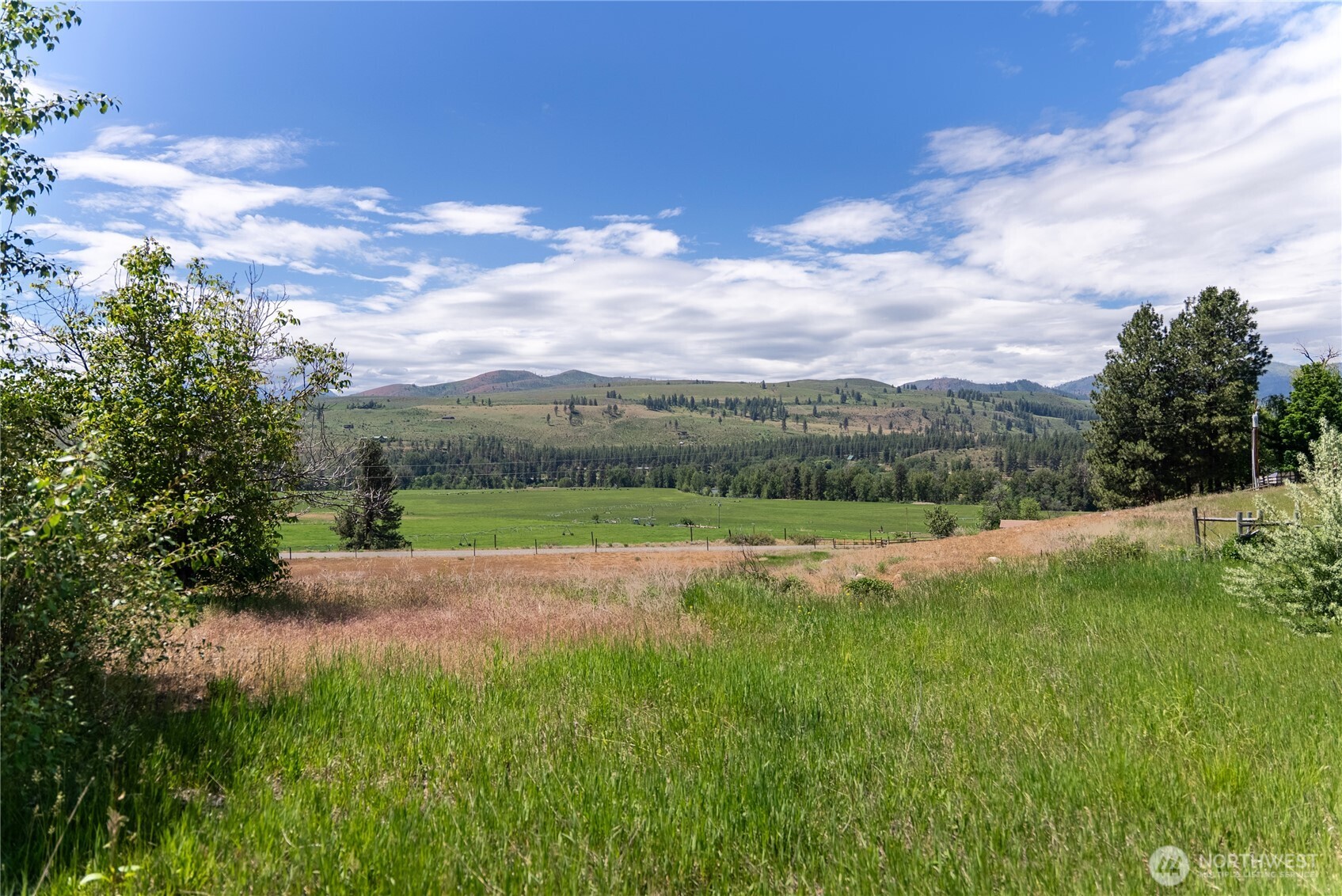 567 Twisp-Winthrop Eastside Road Winthrop, WA 98862 - Photo 17 of 33