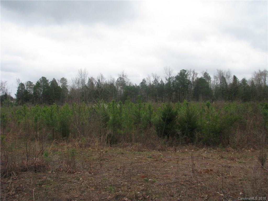 22-ac 22-ac Murdock Road Richburg, SC 29729 - Photo 2 of 12 Gallery Image 2