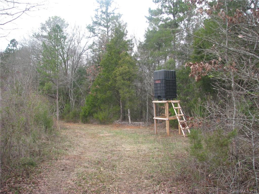 22-ac 22-ac Murdock Road Richburg, SC 29729 - Photo 6 of 12 Gallery Image 6