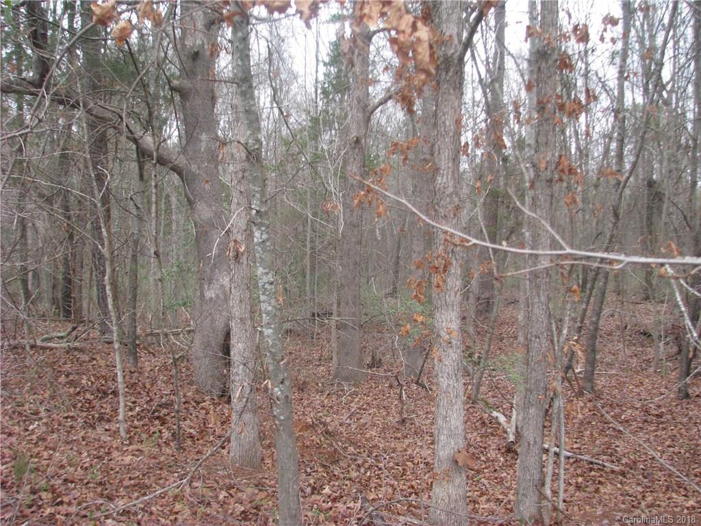 22-ac 22-ac Murdock Road Richburg, SC 29729 - Photo 7 of 12 Gallery Image 7