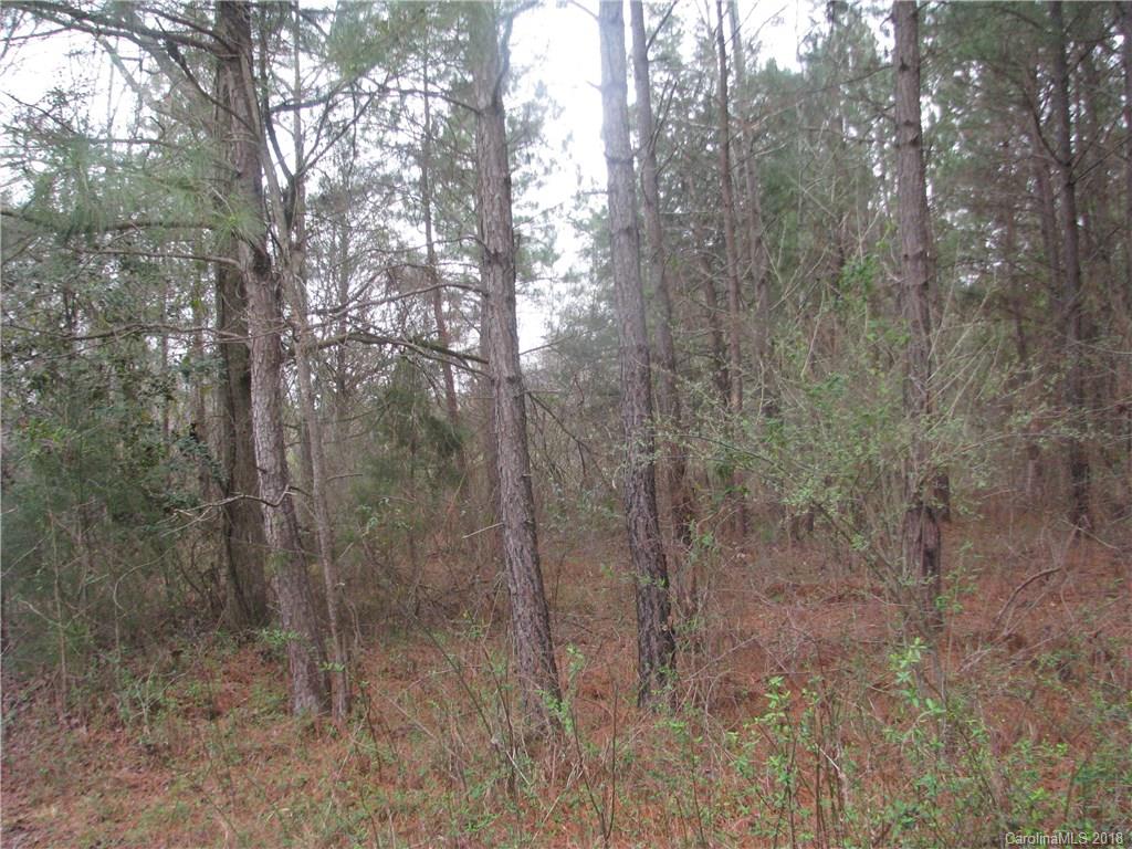 22-ac 22-ac Murdock Road Richburg, SC 29729 - Photo 10 of 12 Gallery Image 10