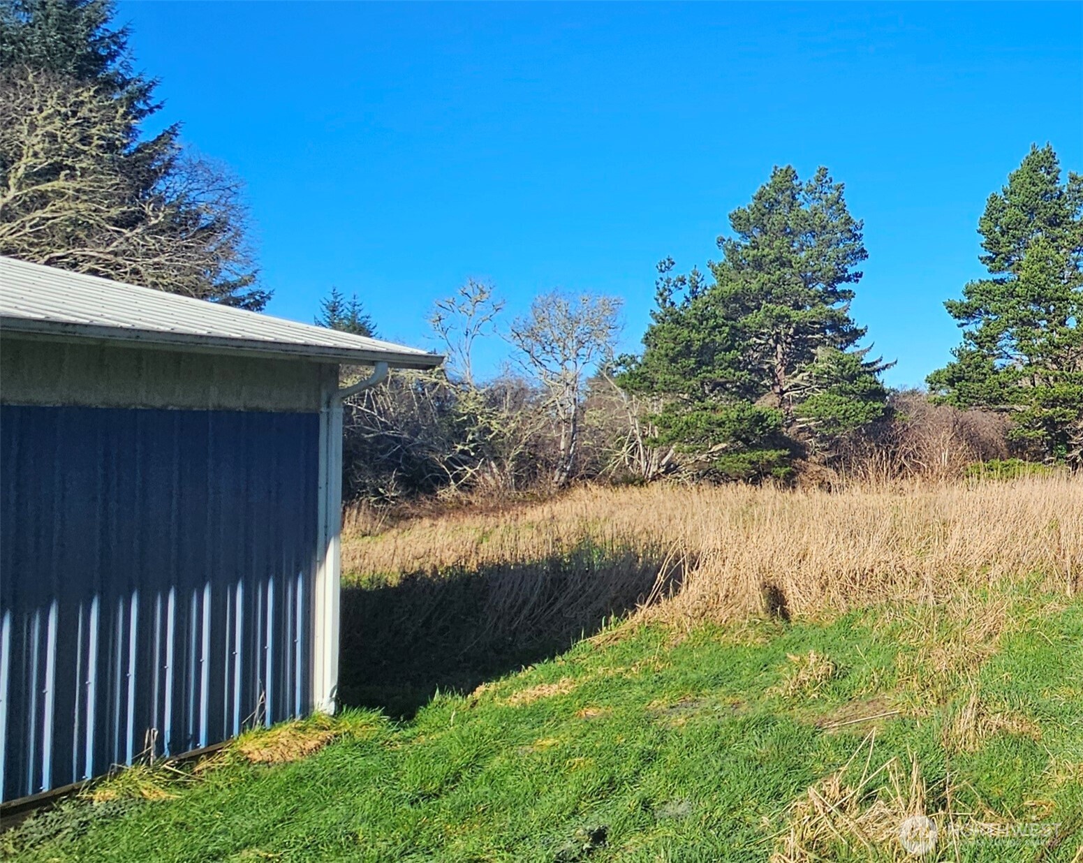 2007 41 Place Long Beach, WA 98631 - Photo 8 of 26