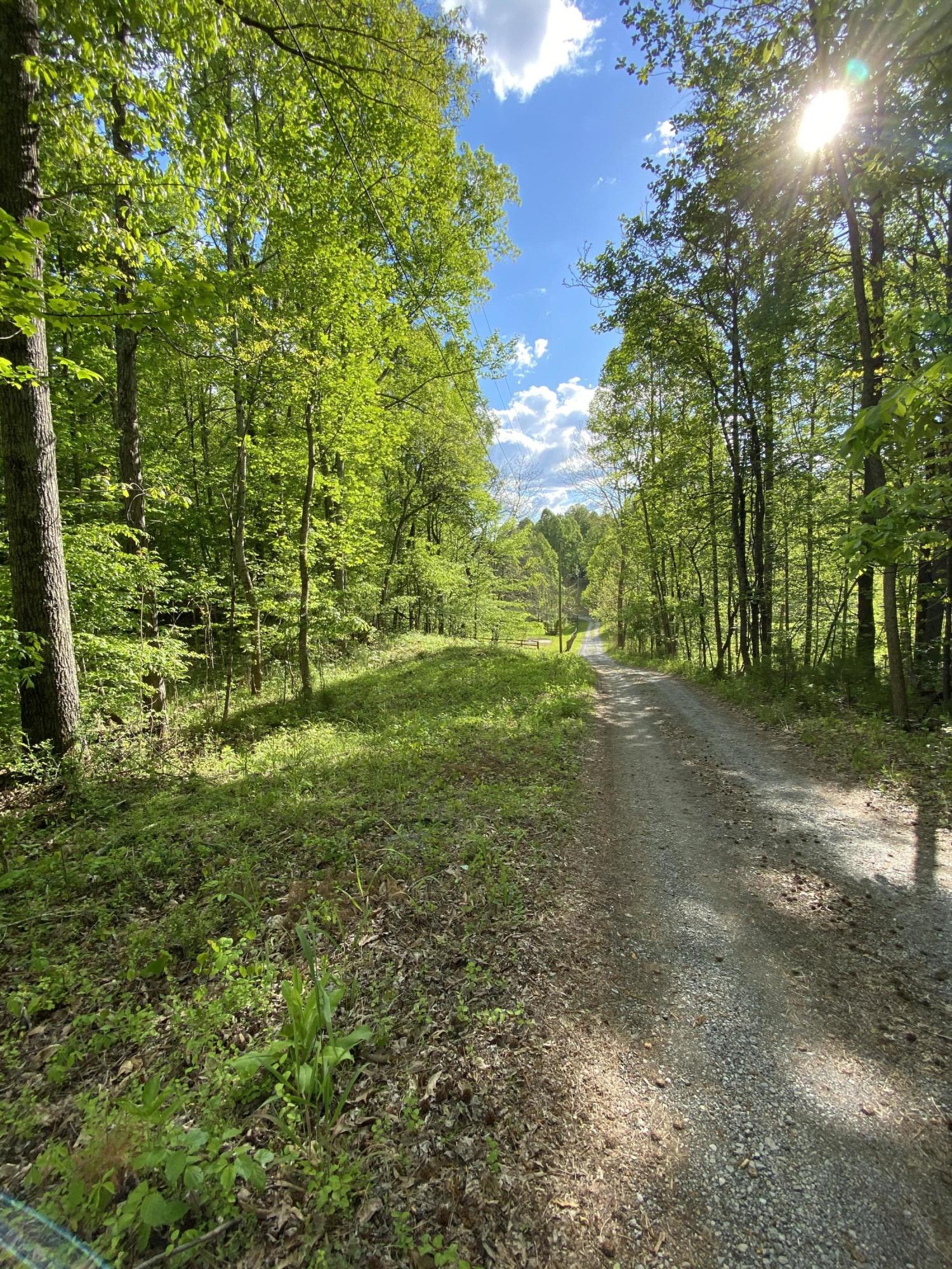 Tbd Rock House Road, Unit 2 Jonesborough, TN 37659 - Photo 2 of 8 View from Rock House Rd