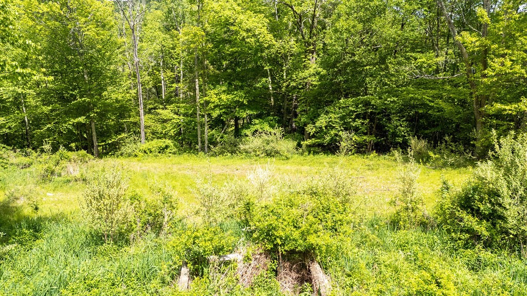 1361 Weaver Hollow Road Andes, NY 12455 - Photo 20 of 23