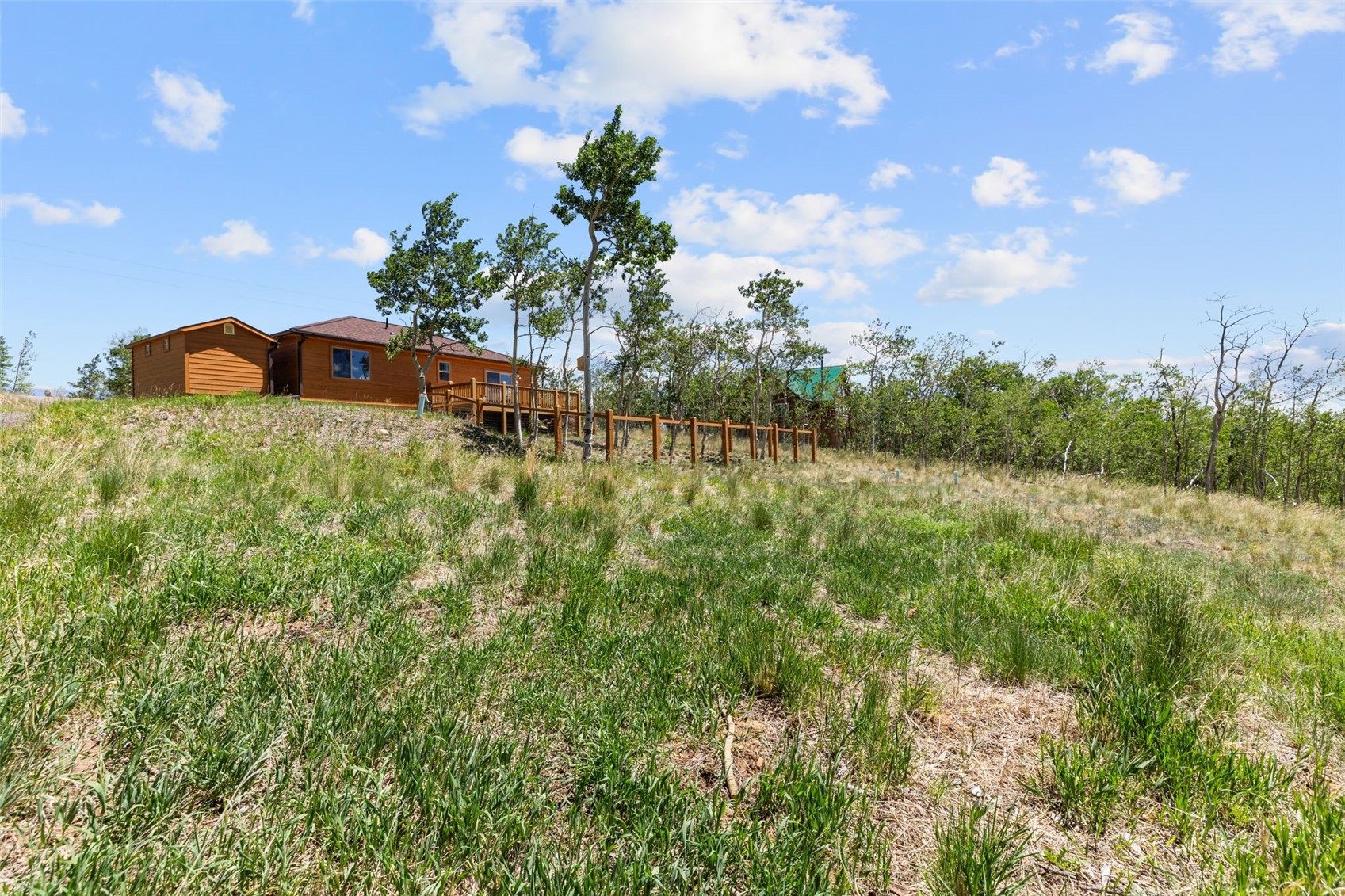 108 Sheep Ridge Road Fairplay, CO 80440 - Photo 24 of 39