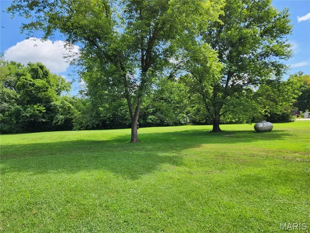 $100,000 | 501 Birch Street, Mill Spring, MO 63952