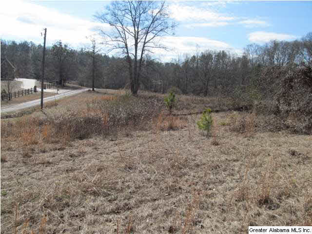0 Signal Valley Trail Chelsea, AL 35043 - Photo 7 of 9