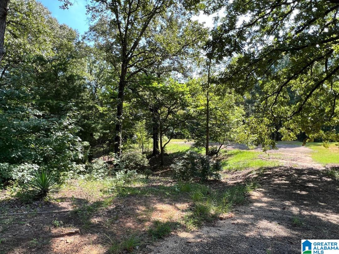 655 Buddy Vines Camp Road, Unit 1 Bessemer, AL 35023 - Photo 1 of 9