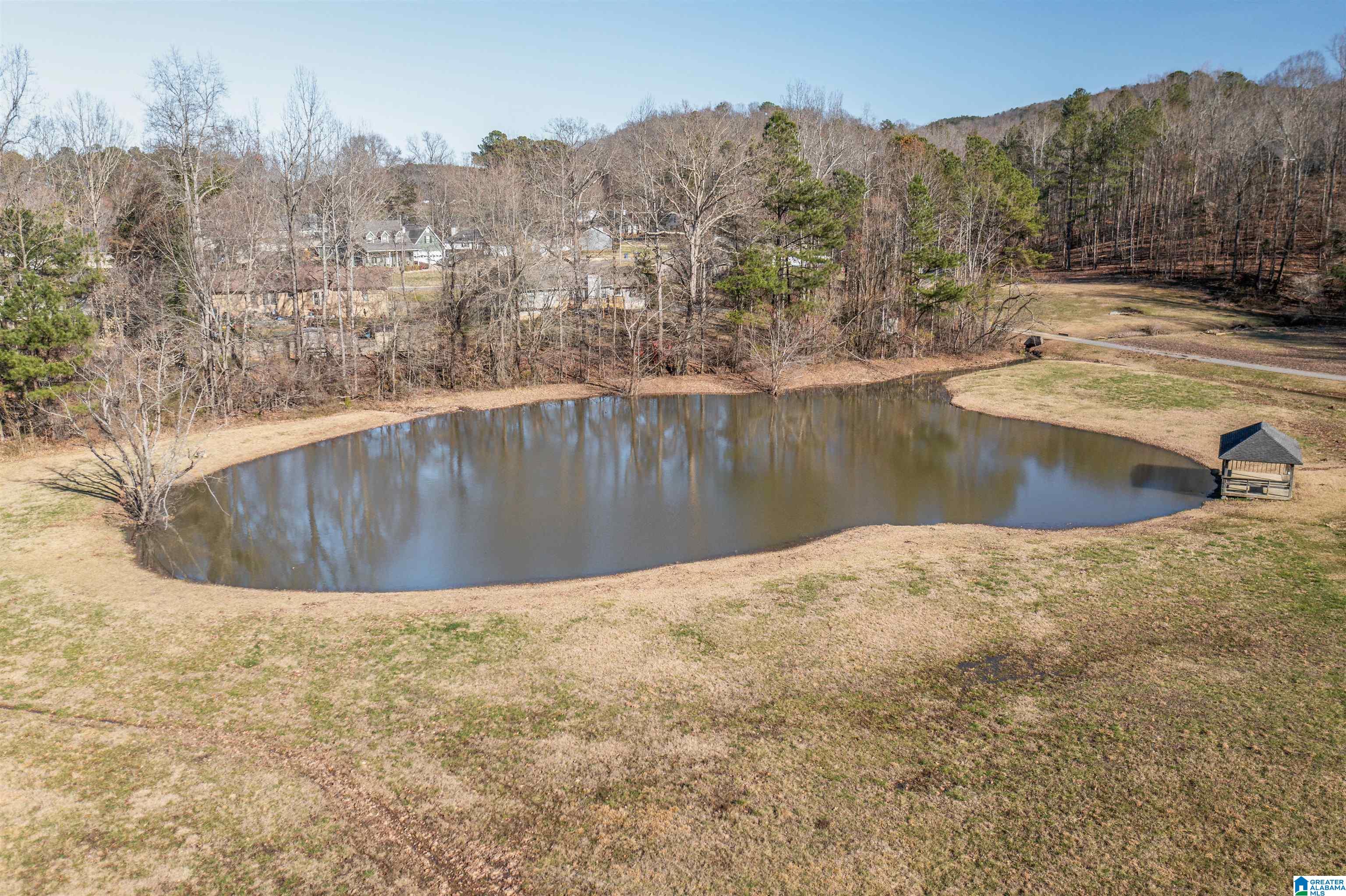 40 Deer Cove Road Oxford, AL 36203 - Photo 13 of 69