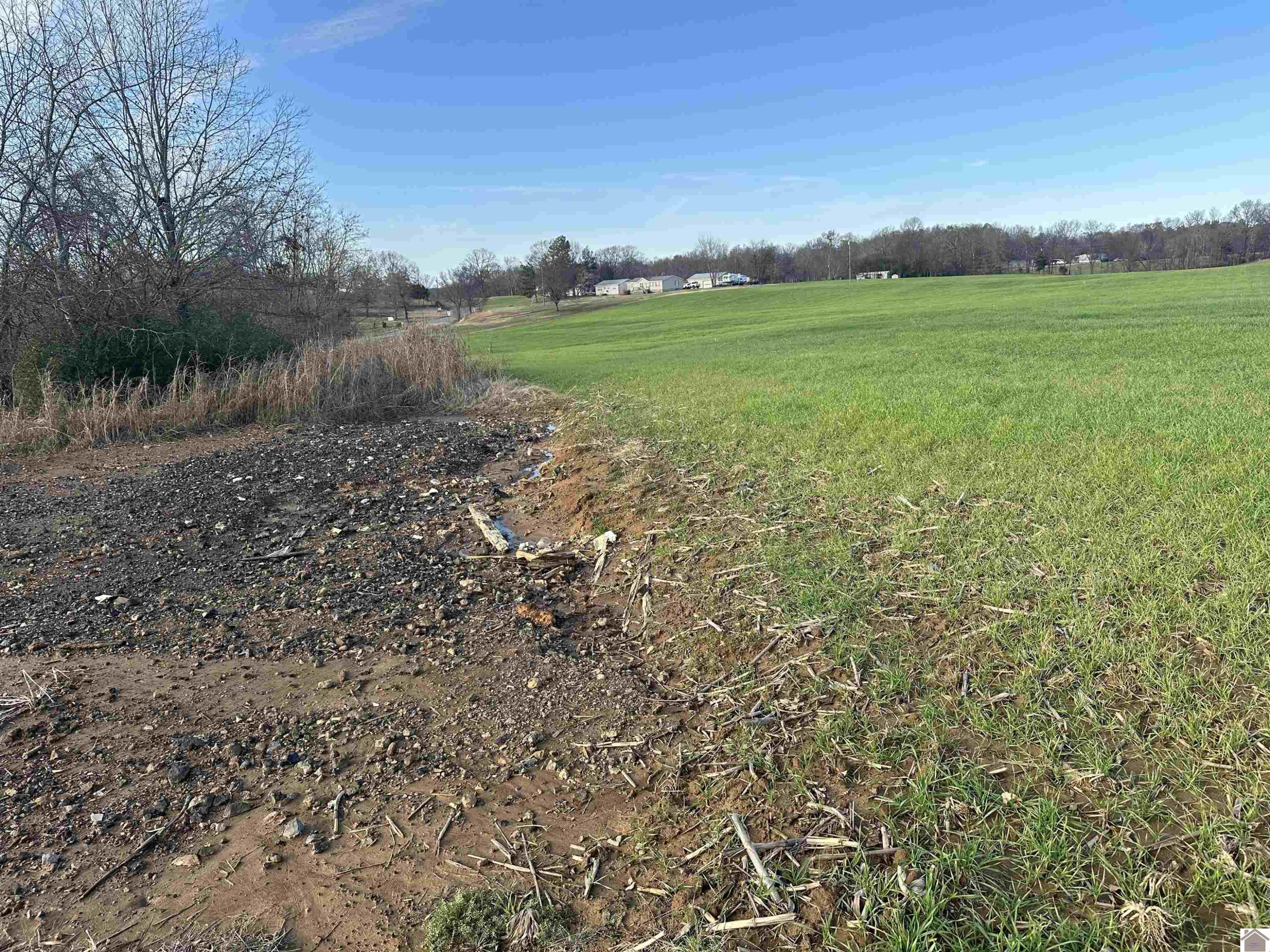 0 Elm Grove Road Almo, KY 42020 - Photo 15 of 35 Photo 15