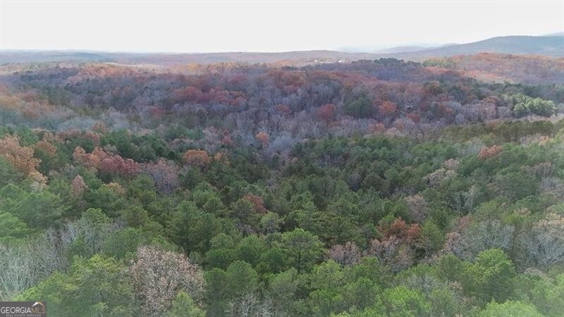 an aerial view of forest