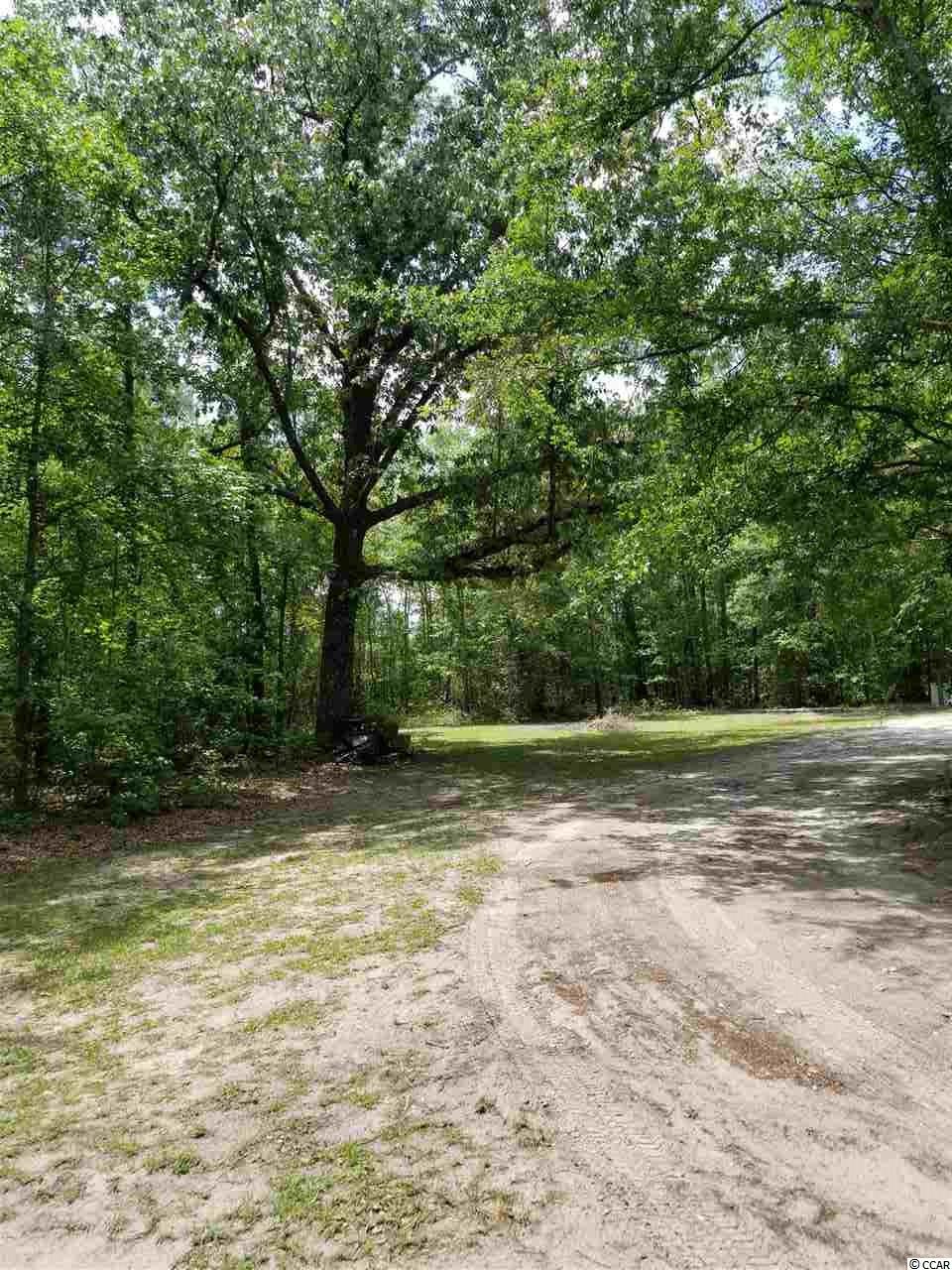 757 Cane Branch Road Loris, SC 29569 - Photo 27 of 40 Gallery Image 27