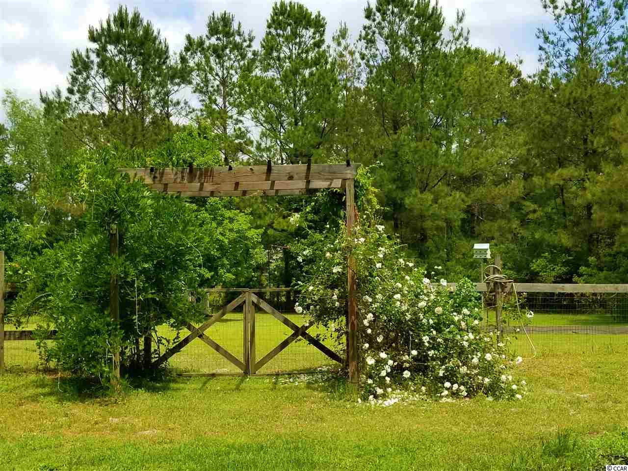 757 Cane Branch Road Loris, SC 29569 - Photo 28 of 40 Gallery Image 28
