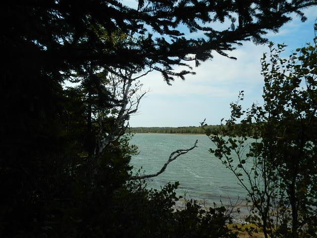 536 Grand Marsh Bay Road Corea, ME 04624 - Photo 18 of 34 Photo