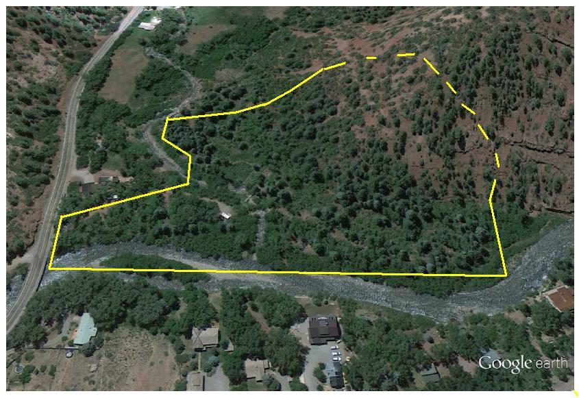 Tbd Tbd Fall Creek Road Placerville, CO 81430 - Photo 2 of 13 a view of a forest
