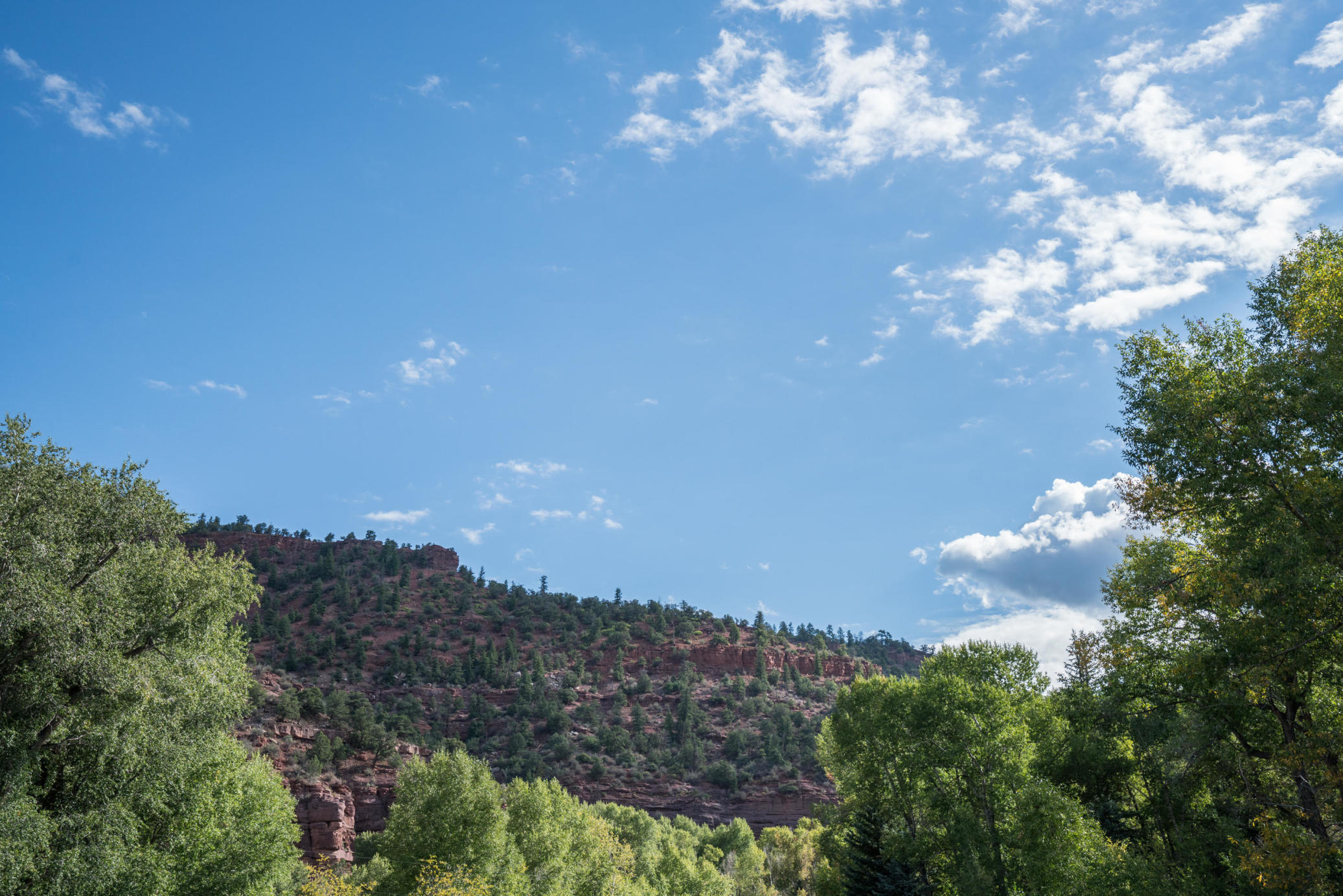Tbd Tbd Fall Creek Road Placerville, CO 81430 - Photo 6 of 13 a view of a city