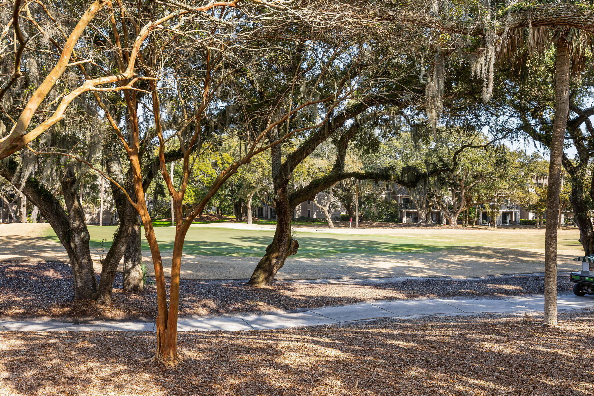 3041 High Hammock Road Seabrook Island, SC 29455 - Photo 2 of 41 37-web-or-mls-Coastal Real Estate Photog