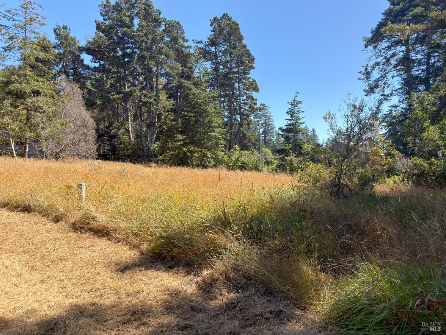 35515 Timber Ridge Road The Sea Ranch, CA 95497 - Photo 2 of 16 Gallery Image 2