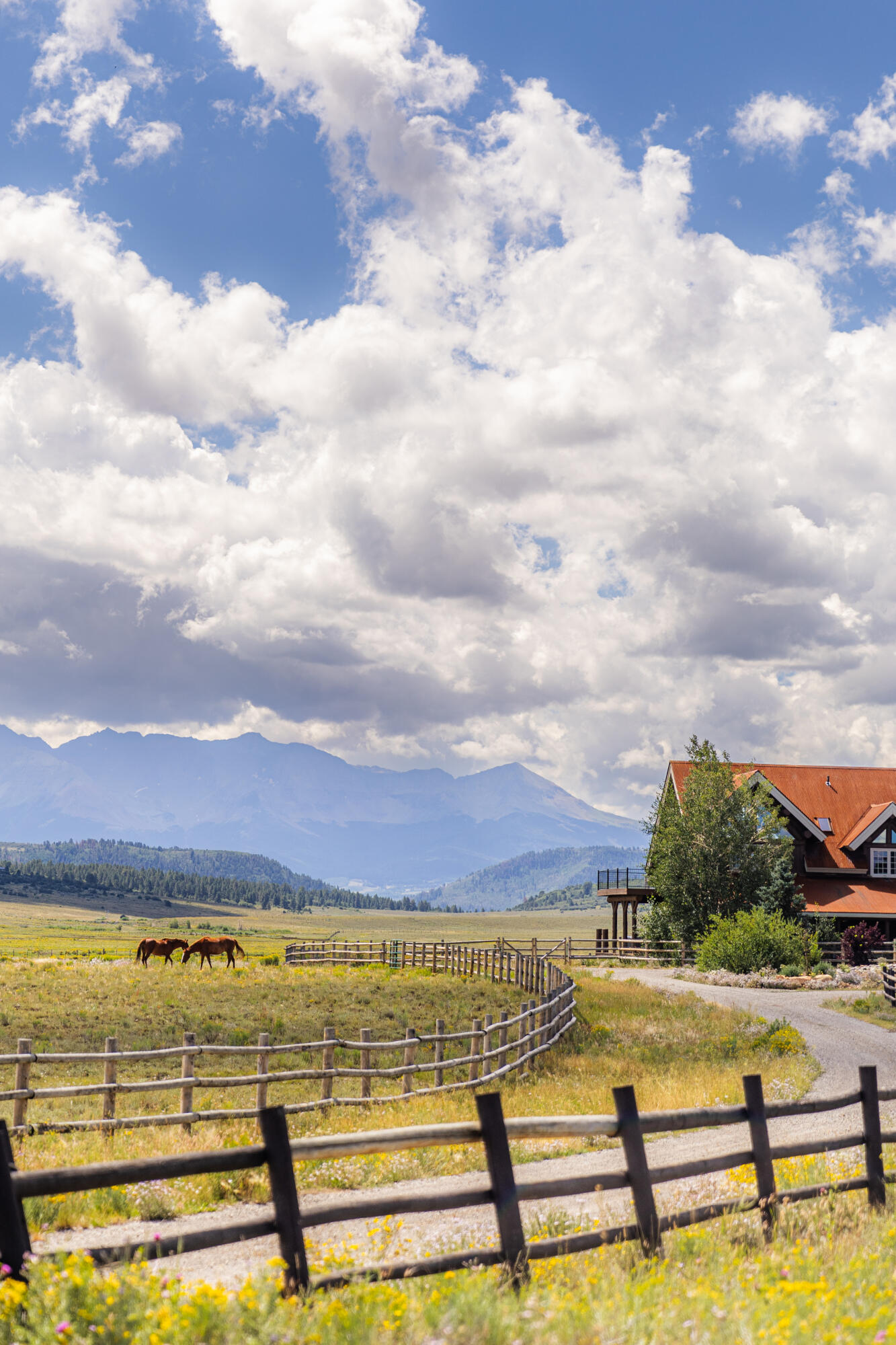 2335 County Road Placerville, CO 81430 - Photo 2 of 38 a view of an ocean and beach