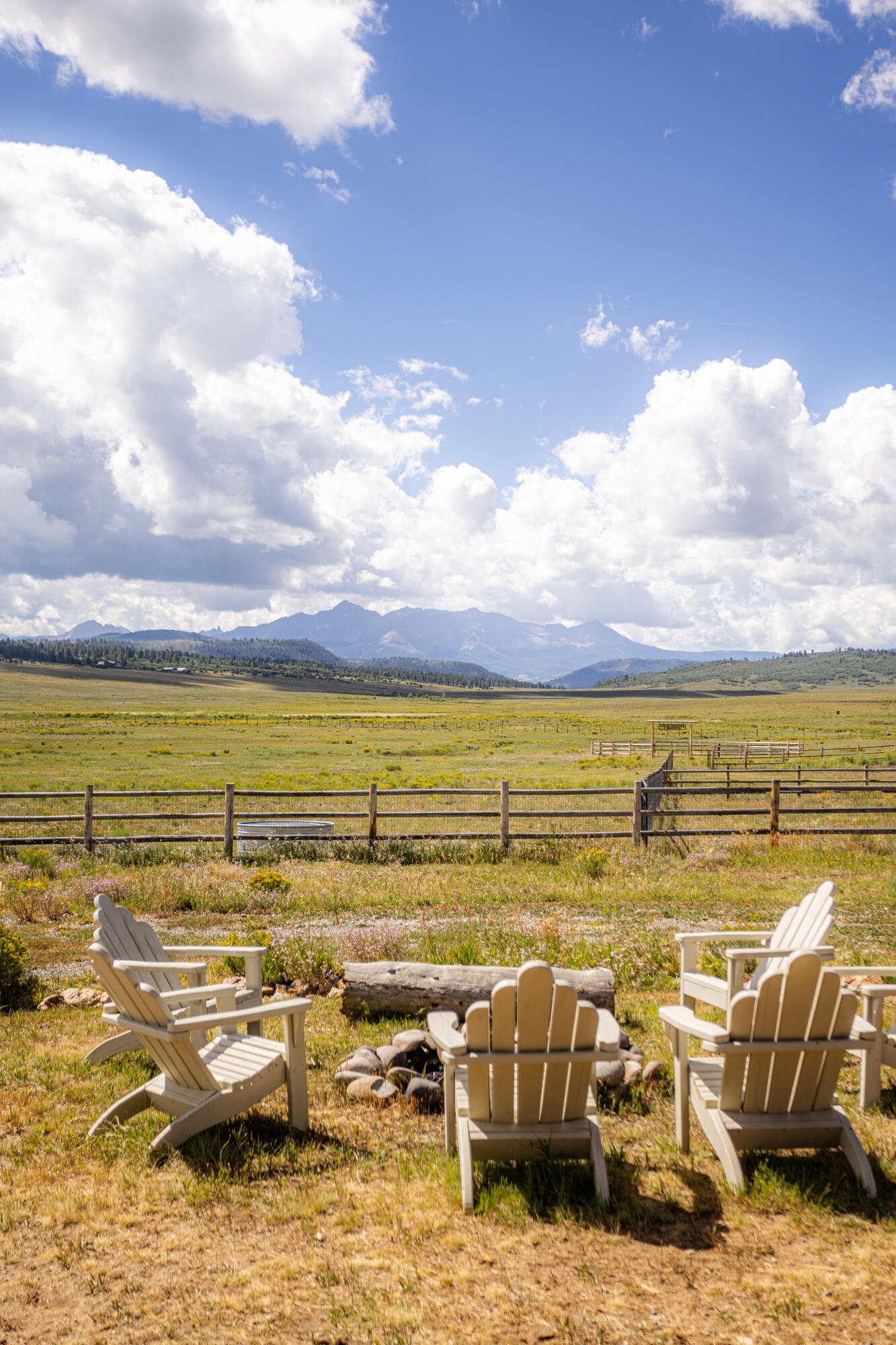 2335 County Road Placerville, CO 81430 - Photo 31 of 38 a view of an ocean