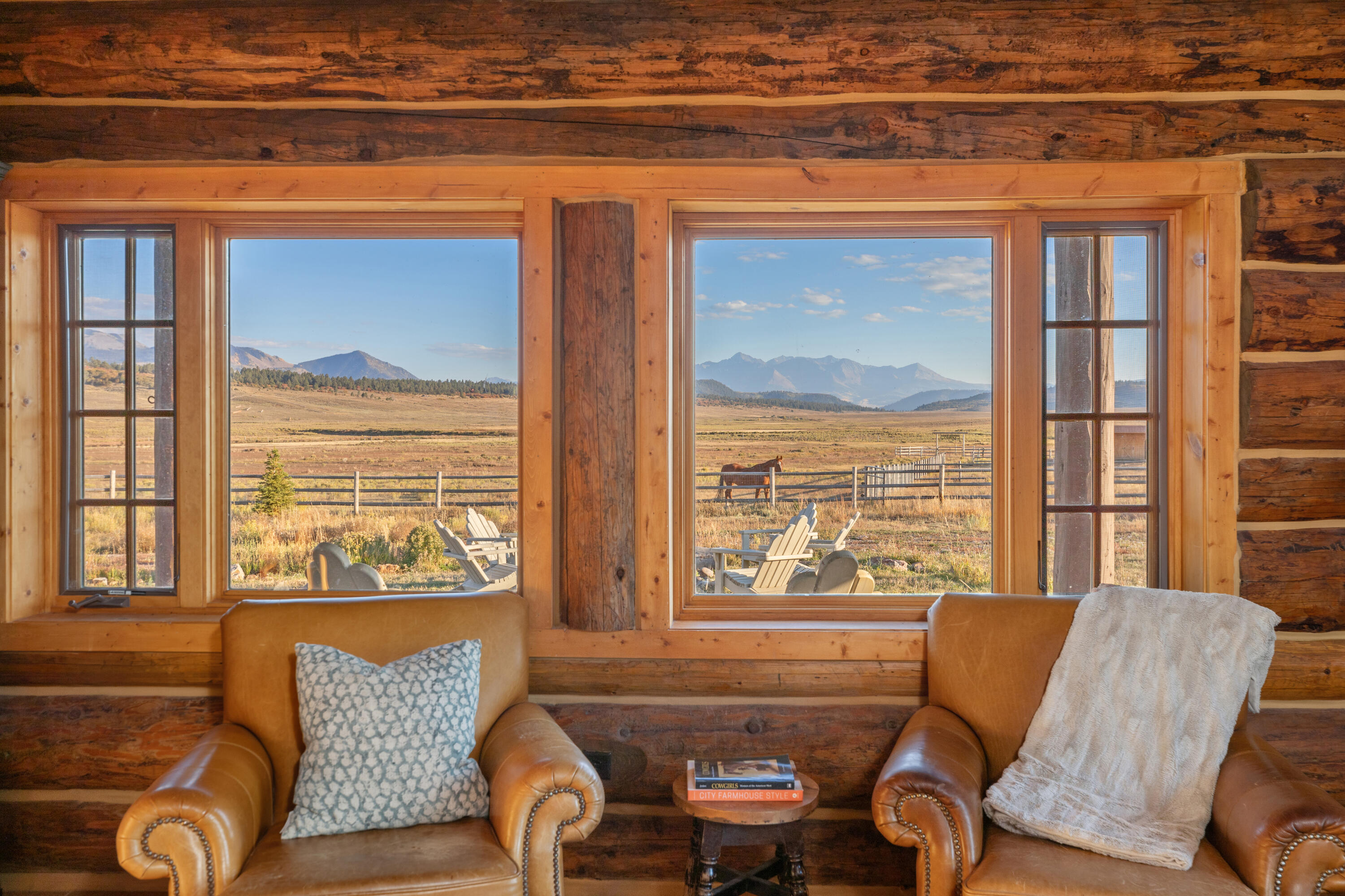 2335 County Road Placerville, CO 81430 - Photo 7 of 38 a living room with furniture and a window