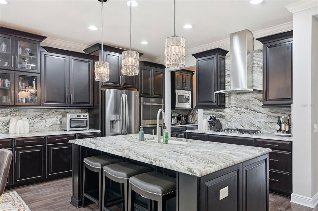 1897 Fox Grape Loop Lutz, FL 33558 - Photo 13 of 91