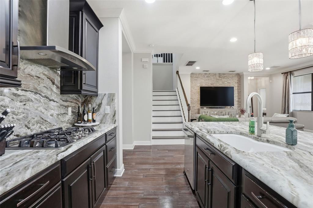 1897 Fox Grape Loop Lutz, FL 33558 - Photo 18 of 91