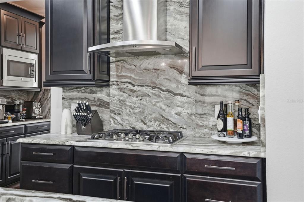 1897 Fox Grape Loop Lutz, FL 33558 - Photo 23 of 91