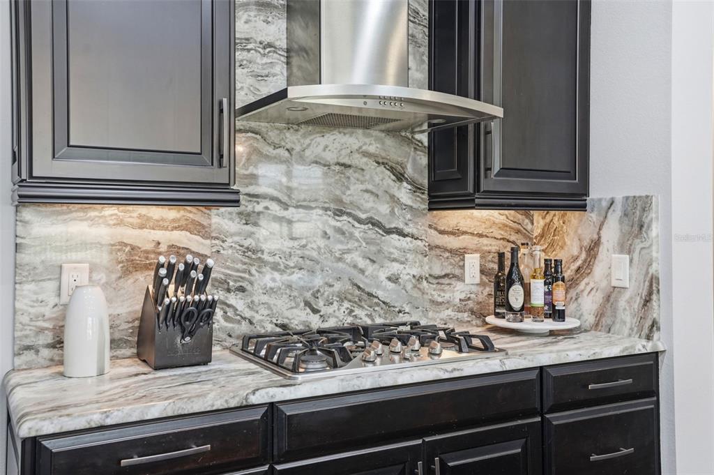 1897 Fox Grape Loop Lutz, FL 33558 - Photo 28 of 91