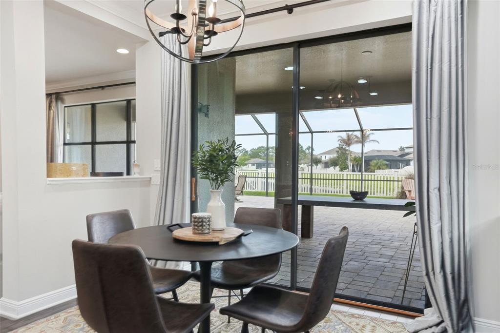 1897 Fox Grape Loop Lutz, FL 33558 - Photo 30 of 91