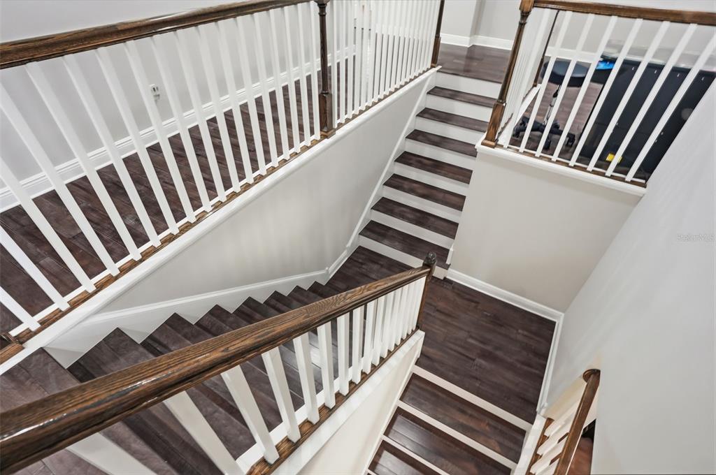 1897 Fox Grape Loop Lutz, FL 33558 - Photo 45 of 91