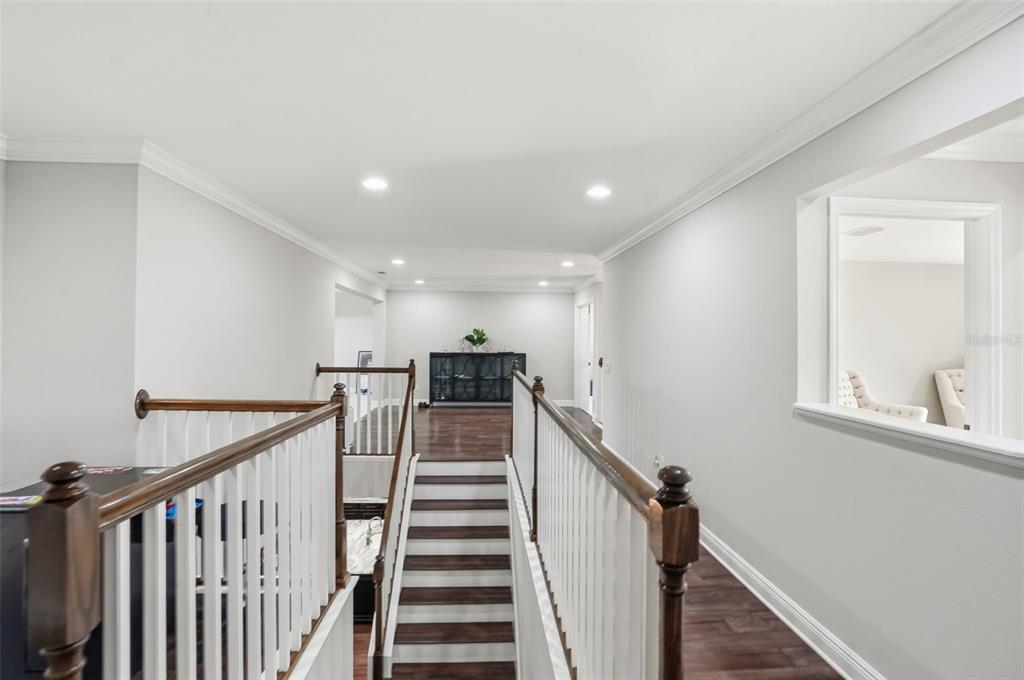 1897 Fox Grape Loop Lutz, FL 33558 - Photo 46 of 91