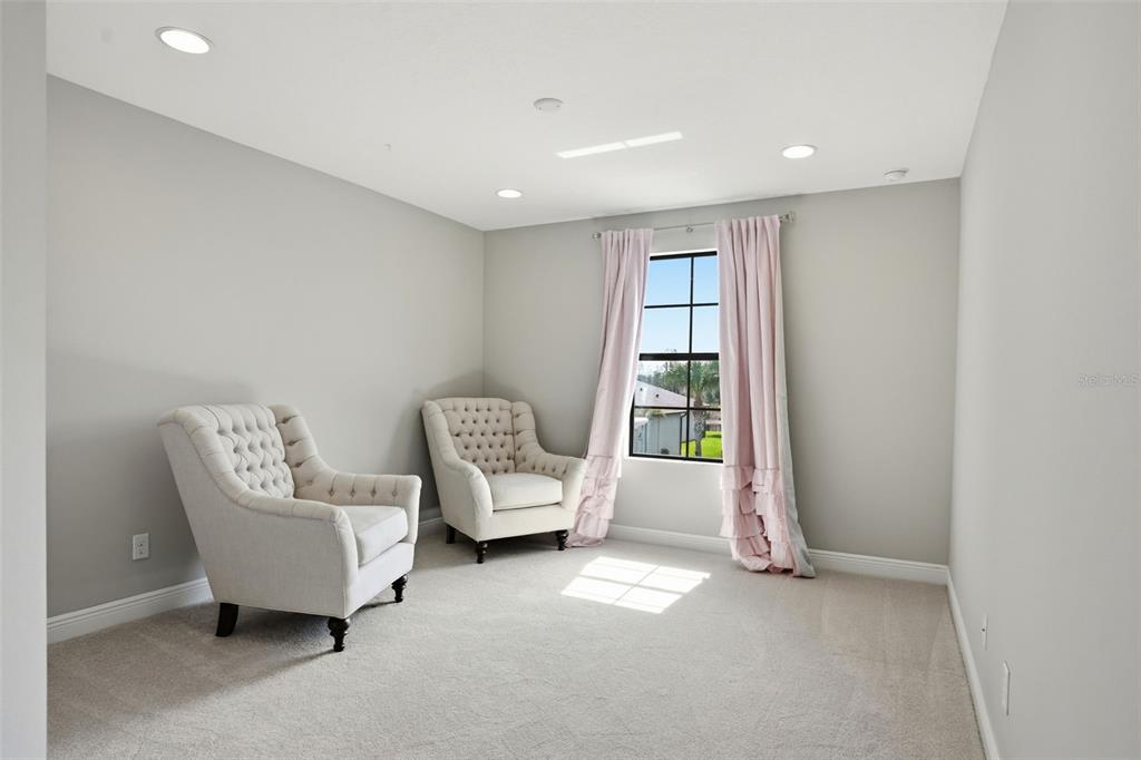 1897 Fox Grape Loop Lutz, FL 33558 - Photo 61 of 91