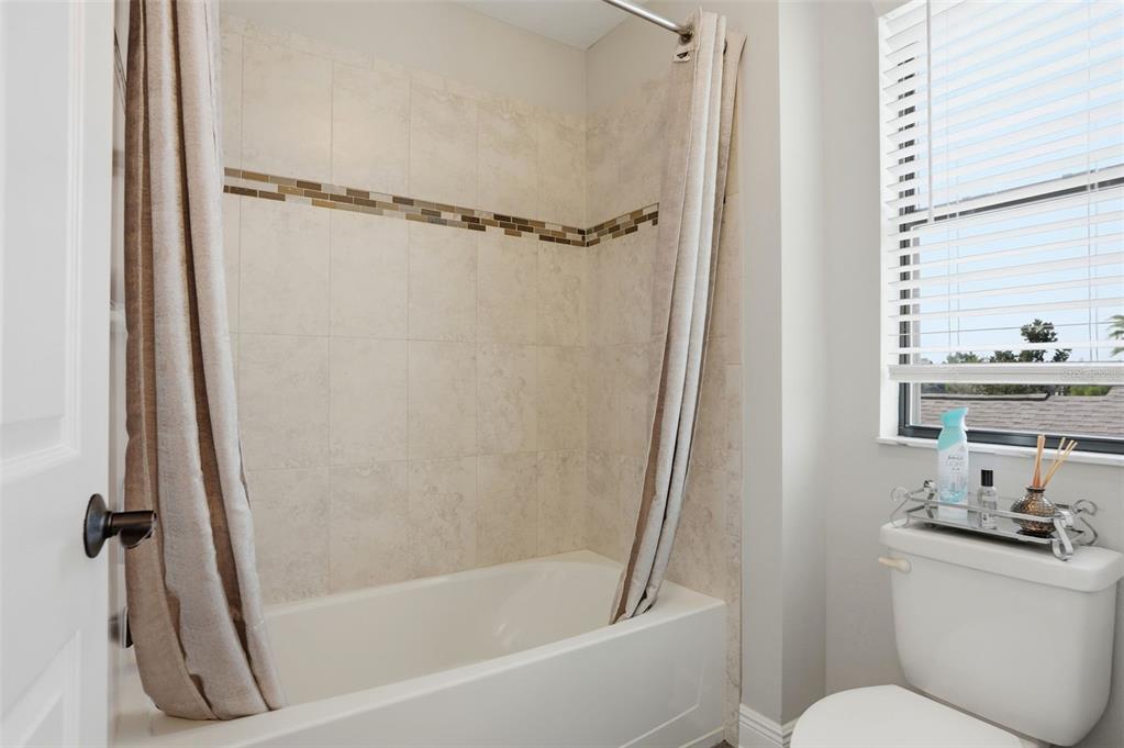 1897 Fox Grape Loop Lutz, FL 33558 - Photo 66 of 91