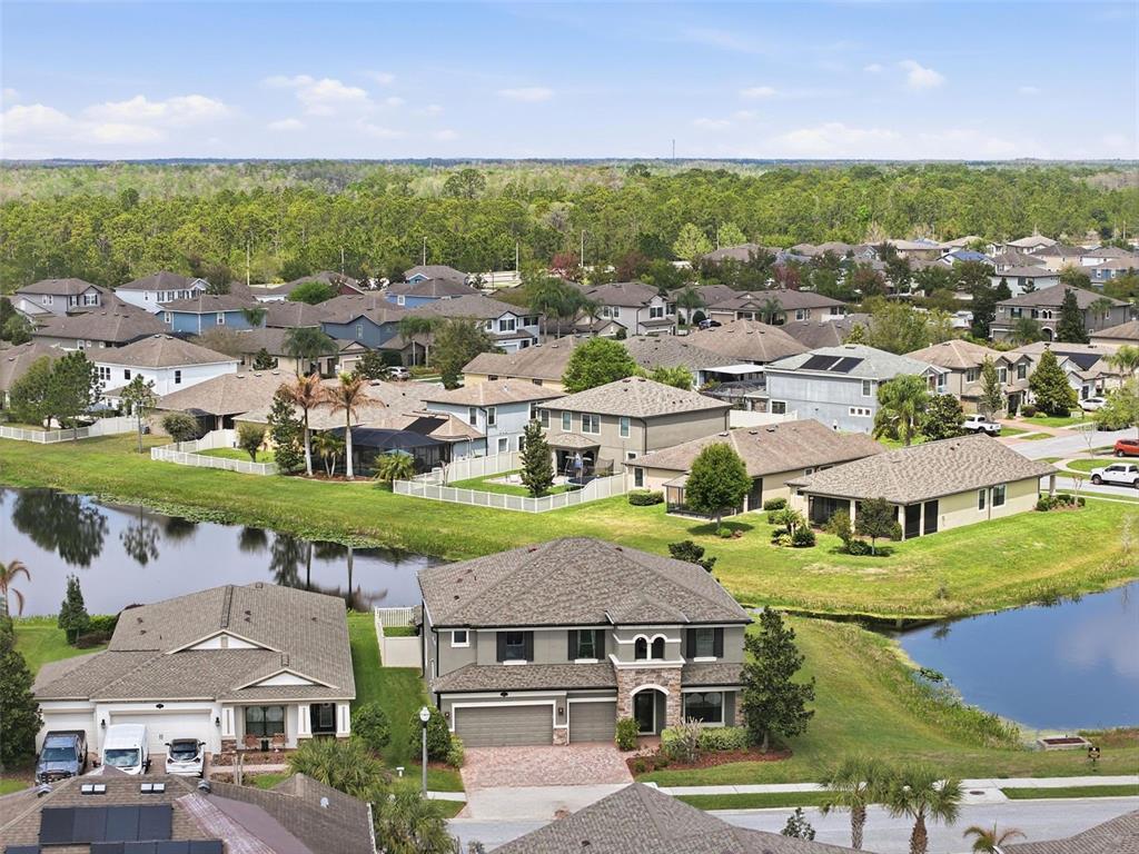 1897 Fox Grape Loop Lutz, FL 33558 - Photo 80 of 91