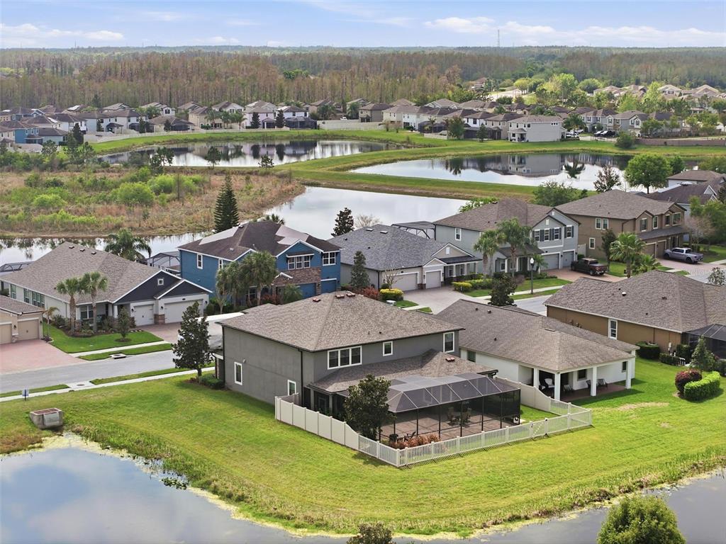 1897 Fox Grape Loop Lutz, FL 33558 - Photo 83 of 91