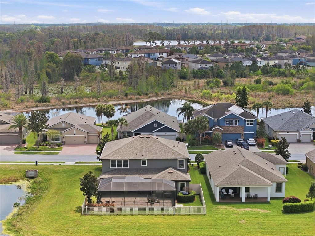 1897 Fox Grape Loop Lutz, FL 33558 - Photo 84 of 91