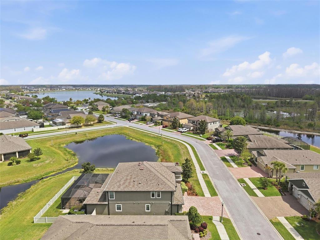 1897 Fox Grape Loop Lutz, FL 33558 - Photo 86 of 91