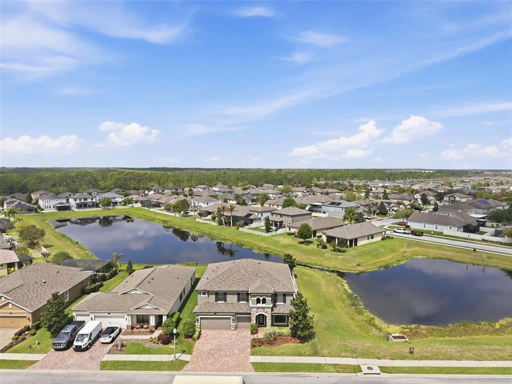 1897 Fox Grape Loop Lutz, FL 33558 - Photo 88 of 91