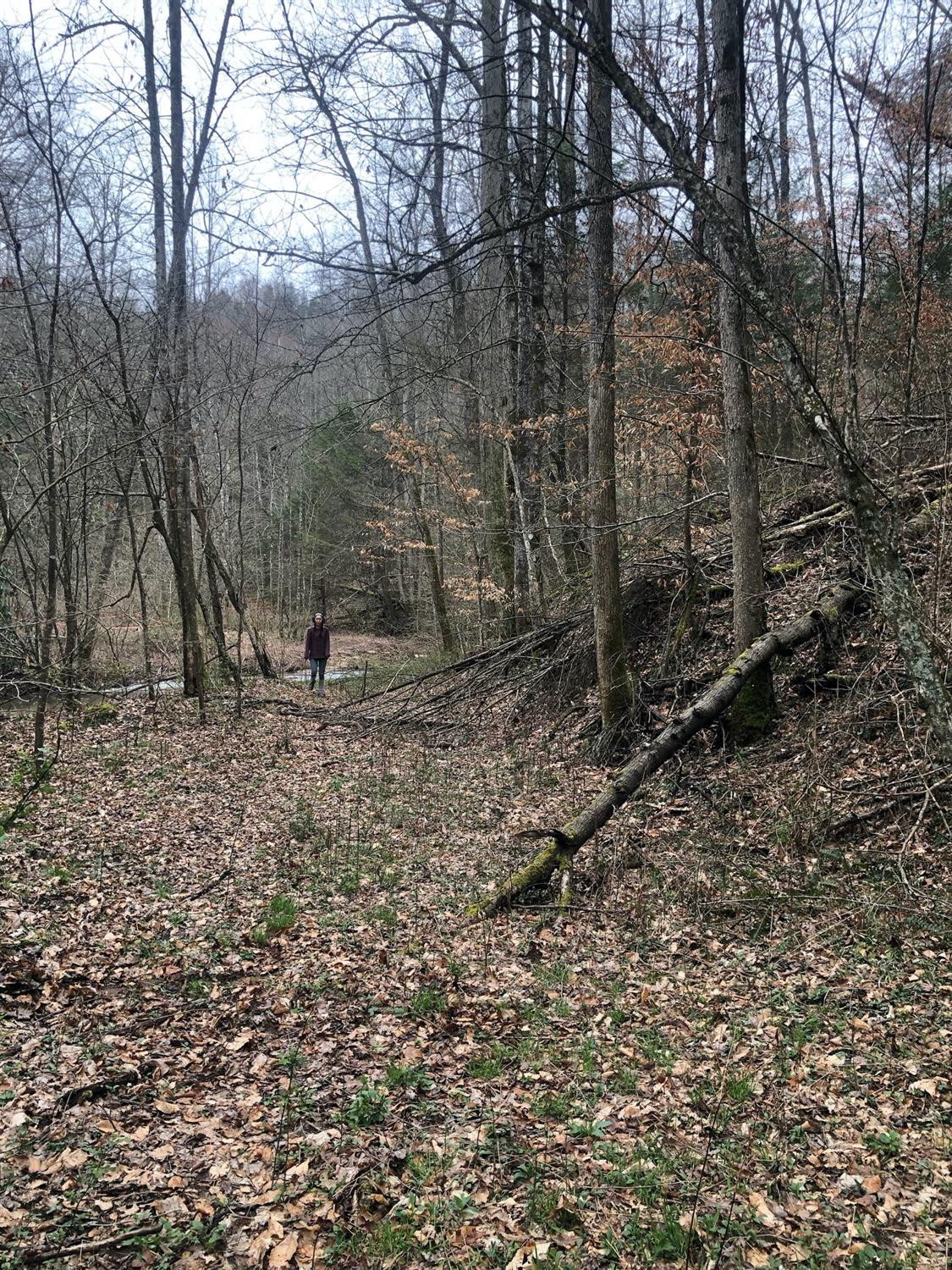 5 Gold Mine Road Pine Ridge, KY 41360 - Photo 10 of 12 Photo 10