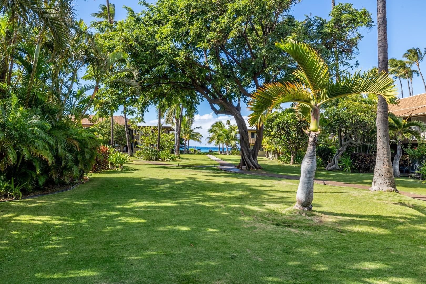 3559 Lower Honoapiilani Road, Unit 5G Lahaina, HI 96761 - Photo 35 of 42 a view of a fountain with a tree