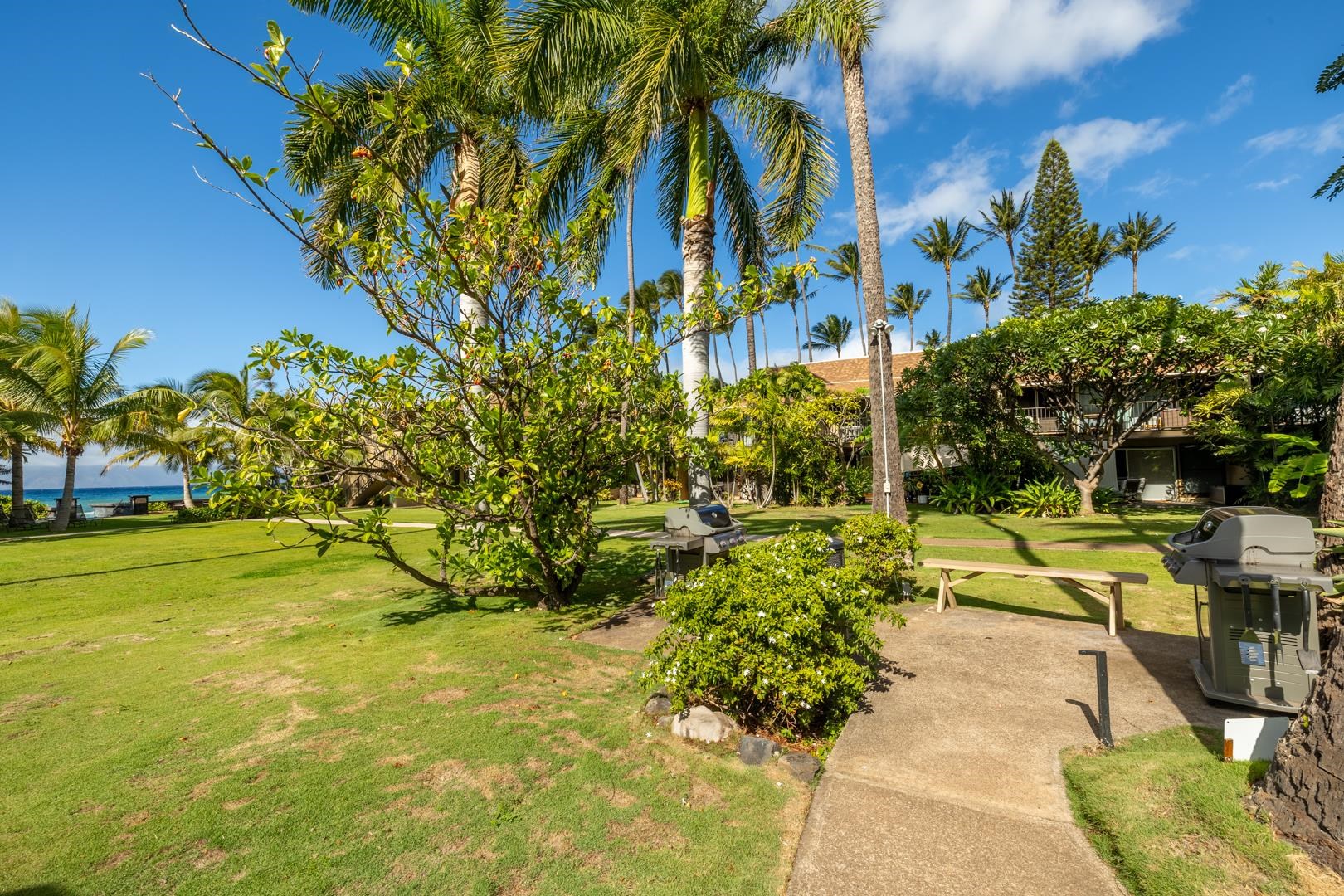 3559 Lower Honoapiilani Road, Unit 5G Lahaina, HI 96761 - Photo 37 of 42 a view of a yard with an outdoor space