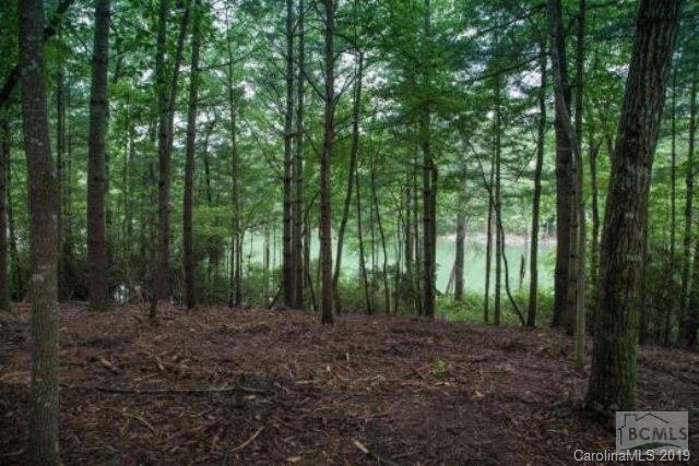 181 Firestone Trail, Unit 181 Nebo, NC 28761 - Photo 6 of 6